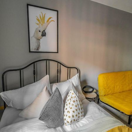 Stylish Apartments Close To Eden Garden براغ المظهر الخارجي الصورة